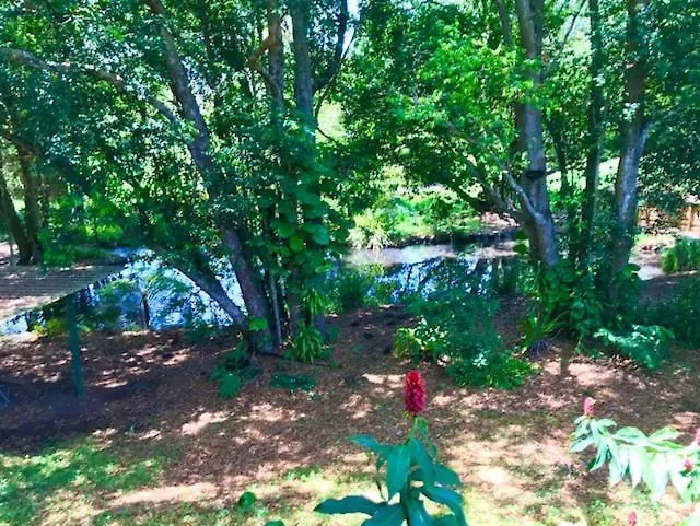 Lilyponds Holiday Park Mapleton 3*,